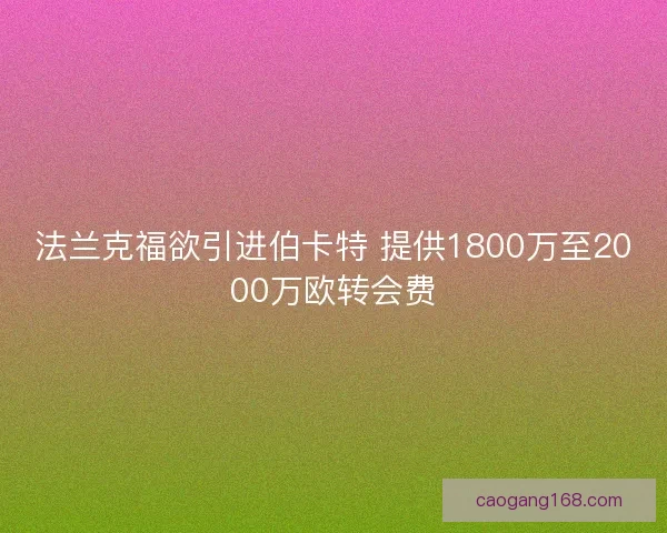 法兰克福欲引进伯卡特 提供1800万至2000万欧转会费