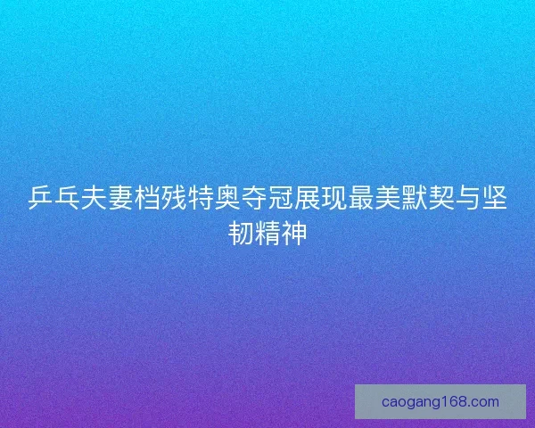 乒乓夫妻档残特奥夺冠展现最美默契与坚韧精神 乒乓夫妻档残特奥夺冠展现最美默契与坚韧精神