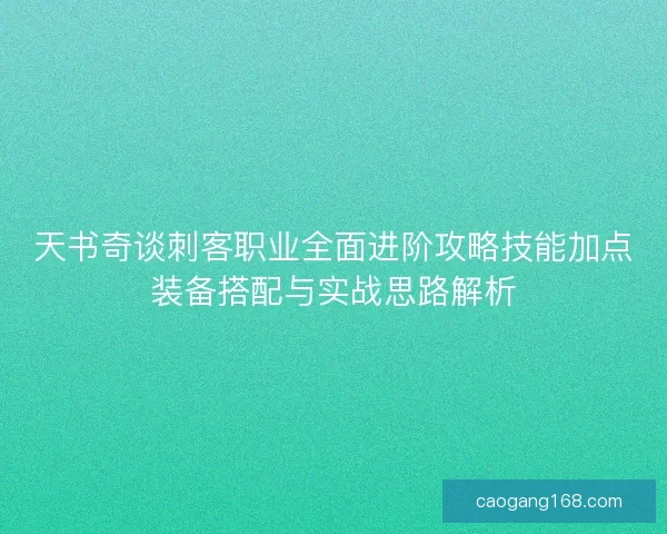 天书奇谈刺客职业全面进阶攻略技能加点装备搭配与实战思路解析