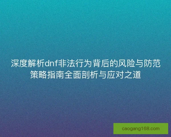 深度解析dnf非法行为背后的风险与防范策略指南全面剖析与应对之道