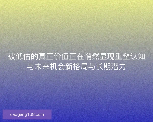 被低估的真正价值正在悄然显现重塑认知与未来机会新格局与长期潜力